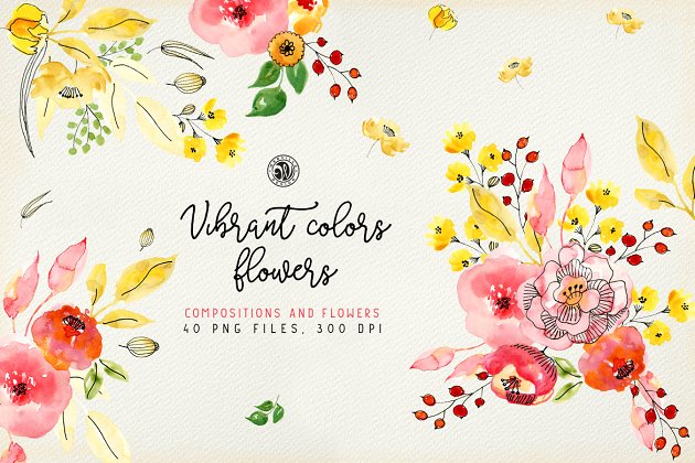 鲜艳的色彩鲜花花卉 Vibrant Colors Flowers