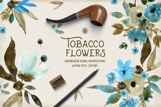 烟草花卉插画 Tobacco Flowers