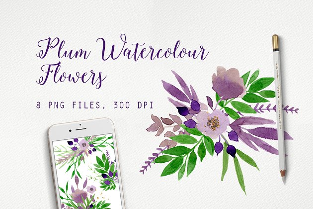 梅花水彩花卉 Plum Watercolour Flowers