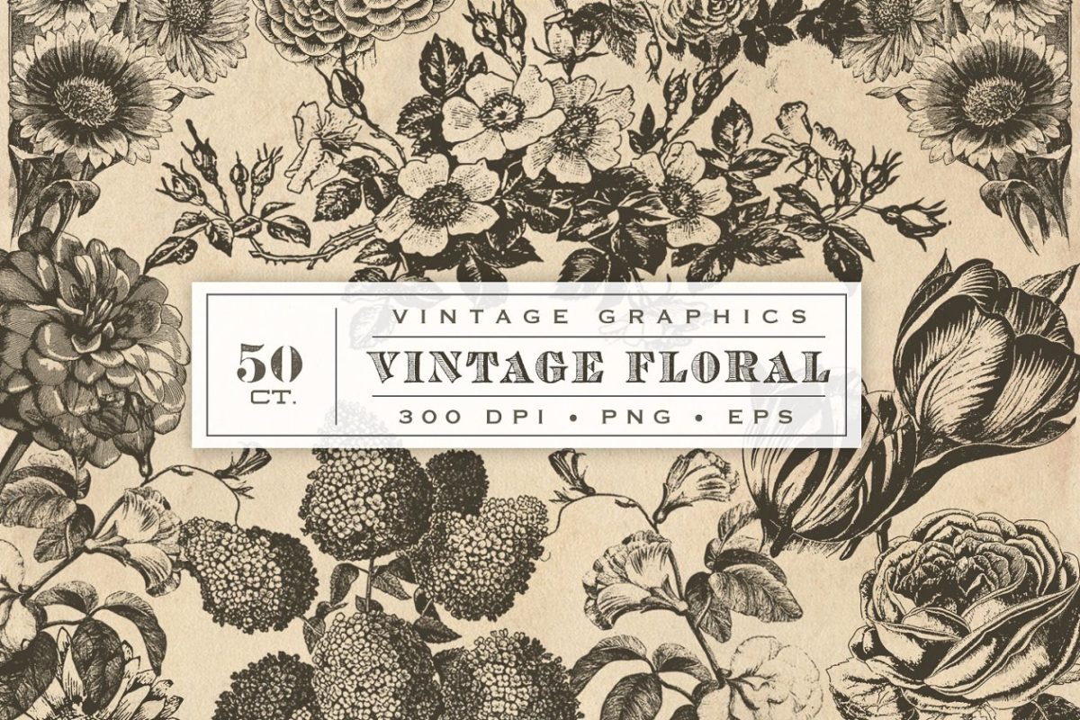 经典复古的花卉图 Vintage Flower Vector Graphics
