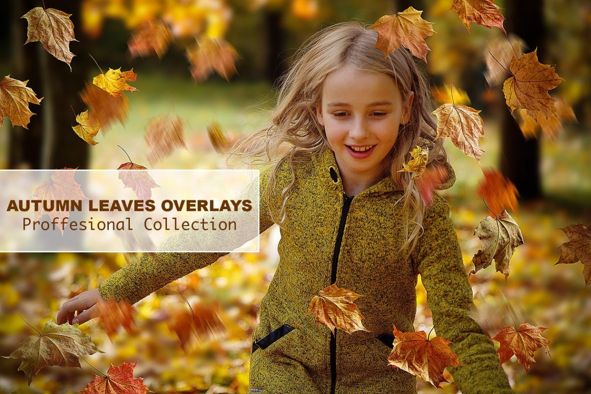 秋天场景枫叶素材 Autumn Leaves Overlays collection