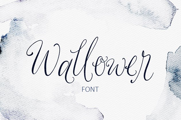 漂亮的手绘字体 Wallower Script Font