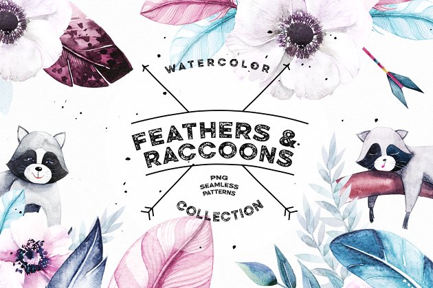水彩羽毛和浣熊素材 Watercolor Feathers & Raccoons