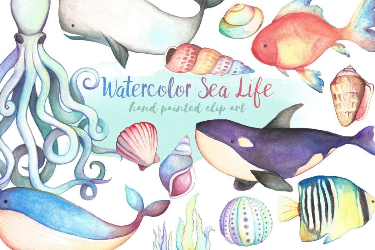 可爱的卡通水彩海洋生物图形 Watercolor Sea Life Clipart Bundle