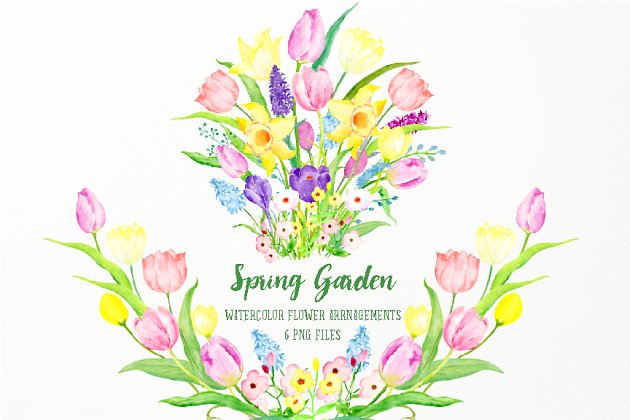 春季花园花卉素材插画 Spring Garden Flower Arrangements