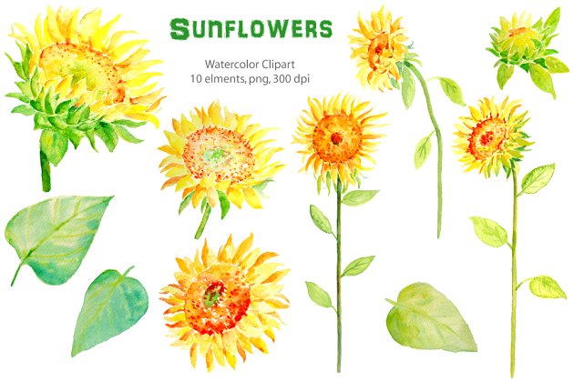 向日葵插画素材 Watercolor Clipart – Sunflowers