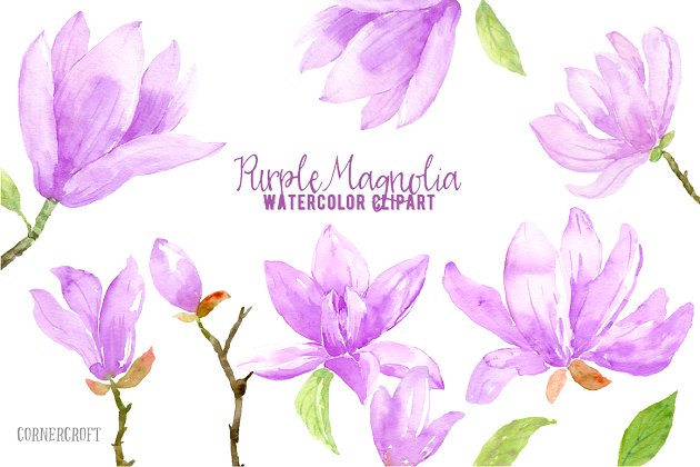 水彩紫色紫玛瑙花卉素材 Watercolor Purple Magnlia