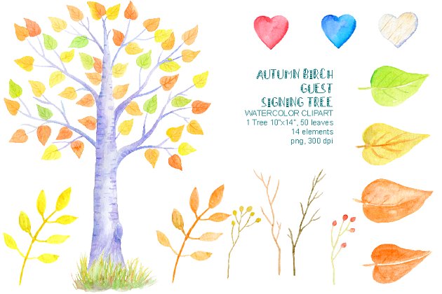 秋季黄色树叶素材插画 Autumn Birch Guest Signing Tree
