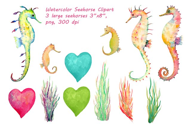水彩海马图 Watercolor Seahorse Clipart