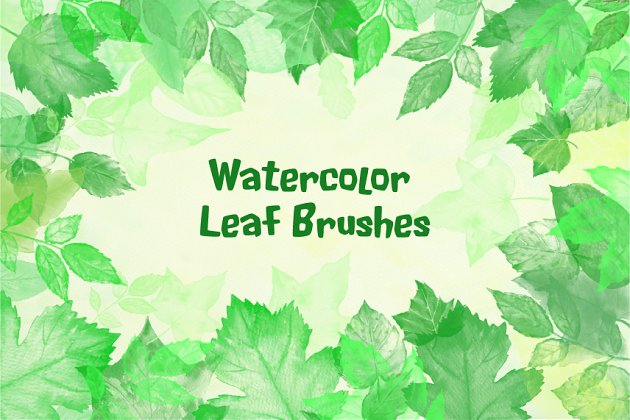 水彩树叶PS笔刷 Watercolor Leaf Photoshop Brush