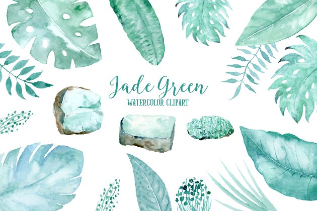 石头树叶插画素材 Jade Green Leaf and Jade Stones