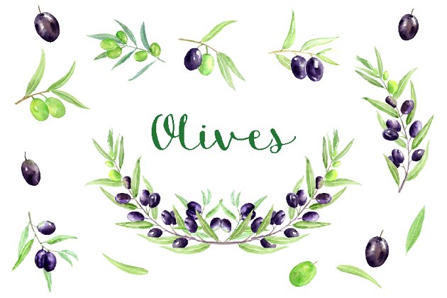 水彩橄榄剪贴画 Watercolor Olive Clipart