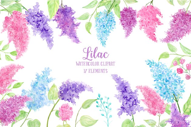 水彩丁香花素材 Watercolor Lilac Flowers