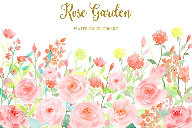 水彩粉红玫瑰花 Watercolor Pink Rose Garden