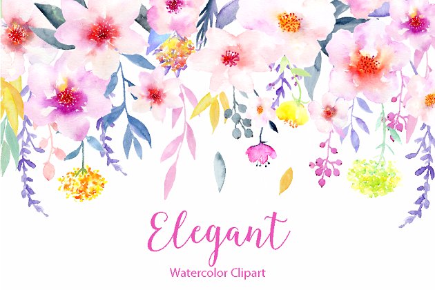 水彩花卉精品图案素材 Watercolor Flower Clipart Elegant