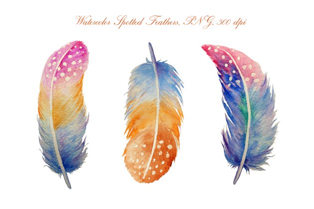水彩羽毛插画 Watercolor Spotted Feathers Clipart