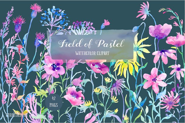 水彩粉笔花卉素材 Watercolor Field of Pastel