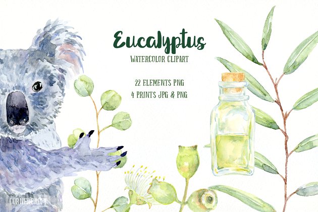 考拉水彩插画素材 Watercolor Eucalyptus Koala Clip Art