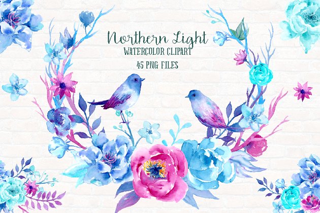 北极光水彩花卉与小鸟素材 Watercolor Clipart Northern Light