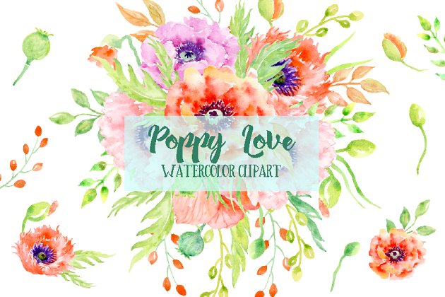 创意水彩花卉爱心 Watercolor Poppy Love