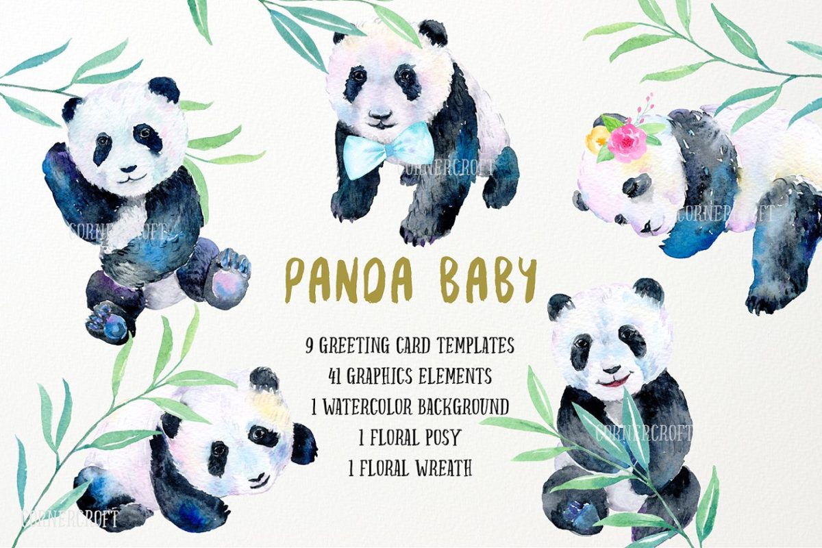水彩熊猫画 Watercolor Panda Baby Illustration