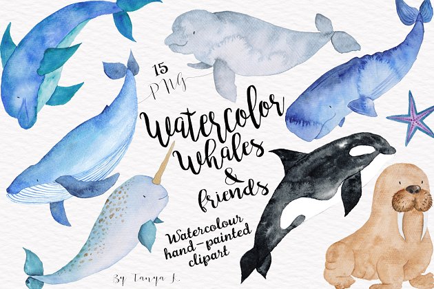 水彩手绘鲸鱼和一些海洋生物素材合集 Watercolor Whales and Friends Set