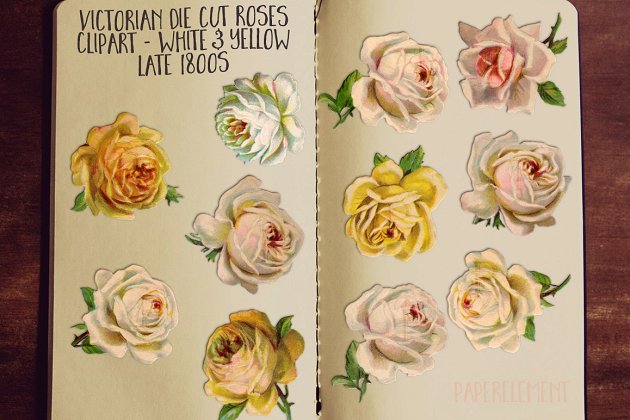 黄色和白色玫瑰花素材 Yellow & White Rose Clip Art Flowers