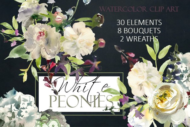 白色花卉水彩素材 Watercolor White Flowers Clipart
