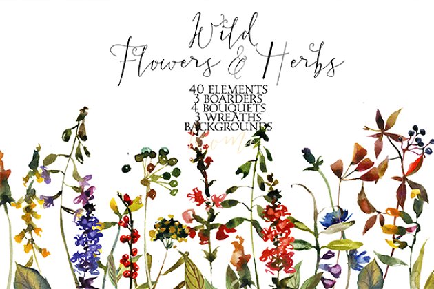 野花草本水彩花卉素材 Wild Flowers & Herbs Watercolor Set