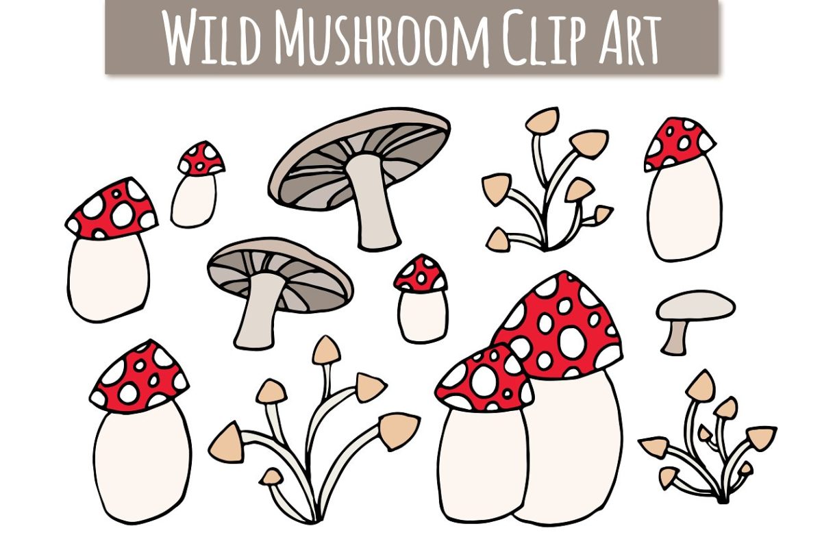 野生蘑菇剪贴画-手工绘制 Wild Mushroom Clip Art – Hand Drawn