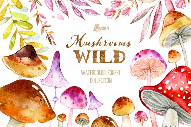 森林蘑菇图形套装 Wild Mushrooms. Forest Collection