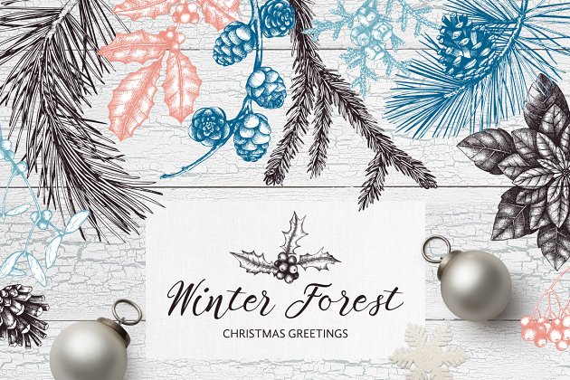冬季森林圣诞节节日手绘元素 Winter Forest Hand Drawn Elements