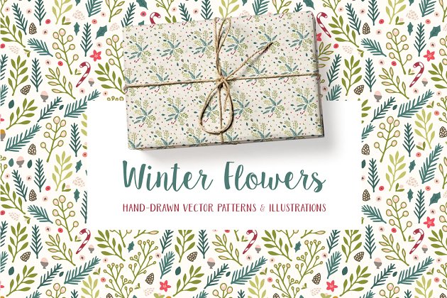 冬天风格的圣诞花卉图形背景纹理素材 Winter Flowers Christmas Patterns