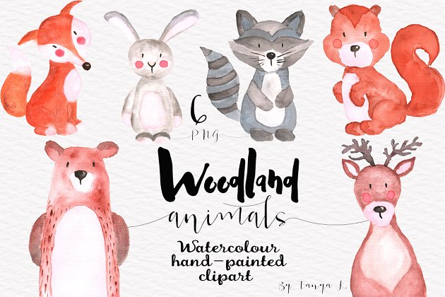 水彩森林卡通动物素材 Watercolor woodland animals clipart