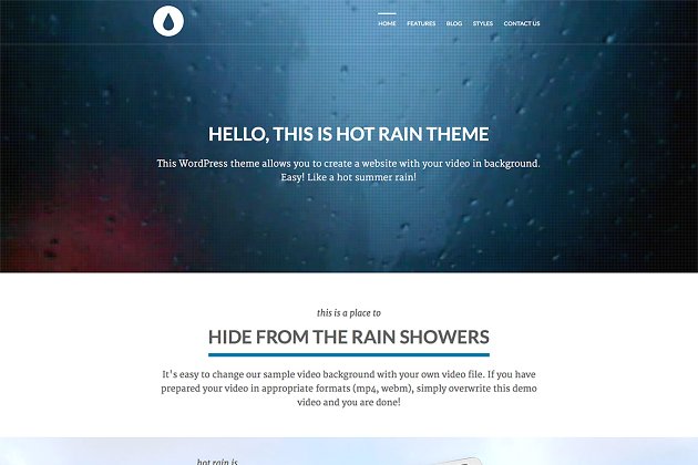 流行的企业网站WordPress主题模版 Hot Rain