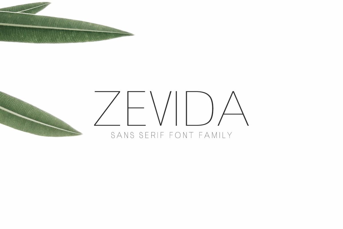 优雅纤细时尚的字体 Zevida Sans Serif Font Family