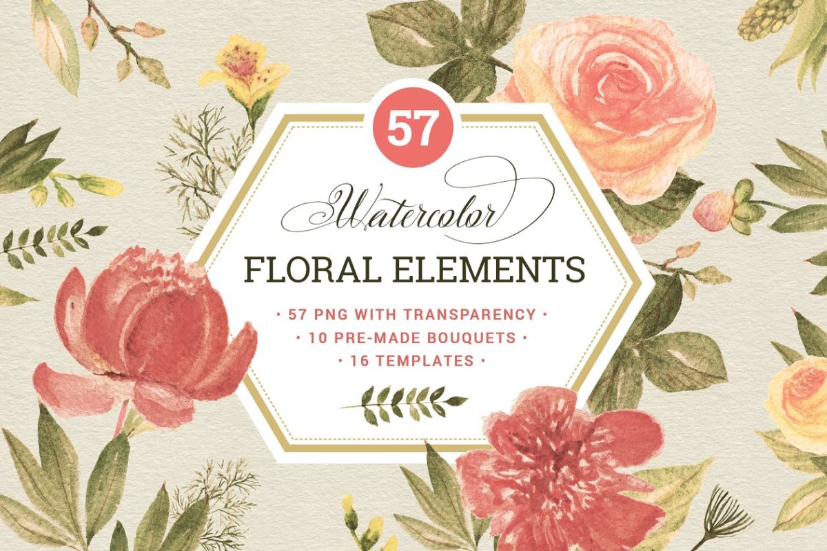 手工花卉元素插画 57 Floral elements & extrass