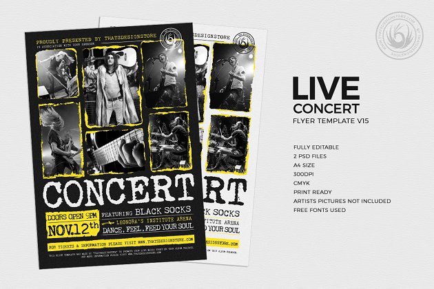 音乐聚会海报模板 Live Concert Flyer PSD V15