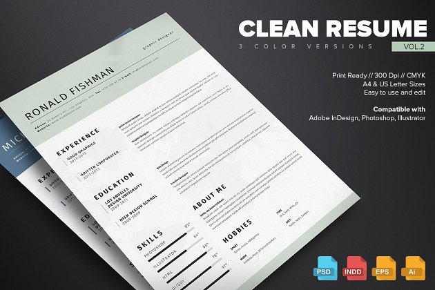 干净简历模板第2卷 Clean Resume Template Vol.2