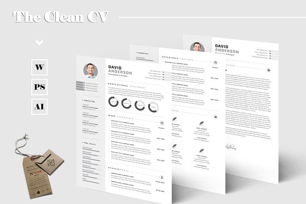 简洁的简历模板 The Clean CV