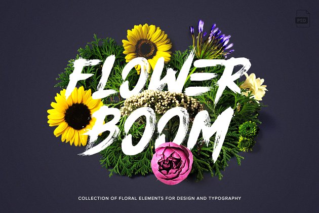 创意花卉字体图片集 Flower Boom Graphic Pack