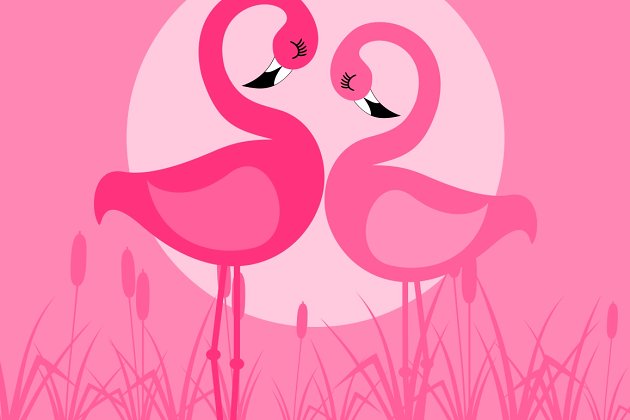 火烈鸟矢量插画 Flamingo