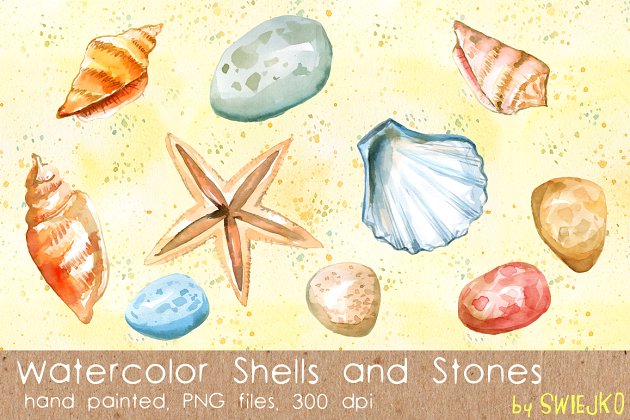 贝壳海洋素材 Shells, Sea Treasures