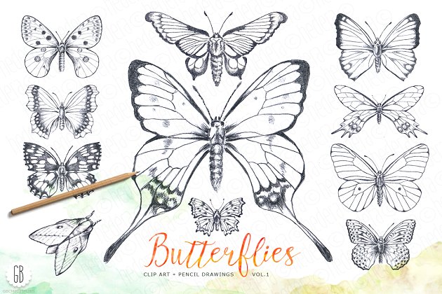 蝴蝶铅笔画素材 Butterflies, pencil hand drawn
