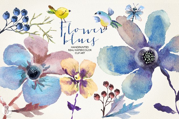蓝色花卉素材插画 Aquarelle blue flowers