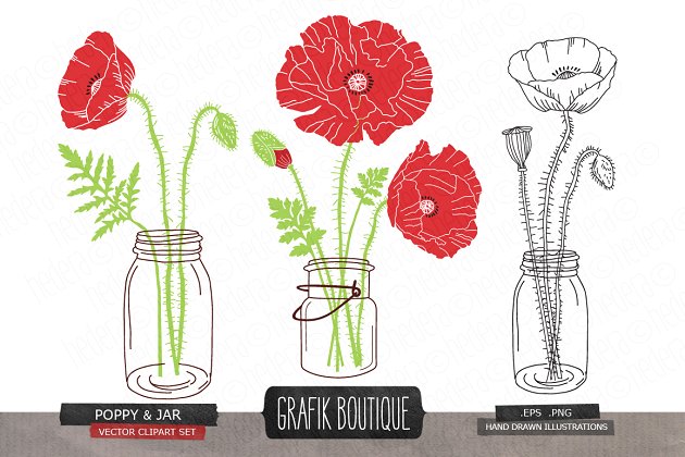 罂粟花玻璃瓶插画 Poppy flower mason jar vector