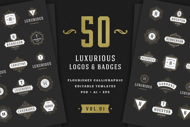 50个奢侈风格的logo图形素材模板 50 Luxurious logos & badges