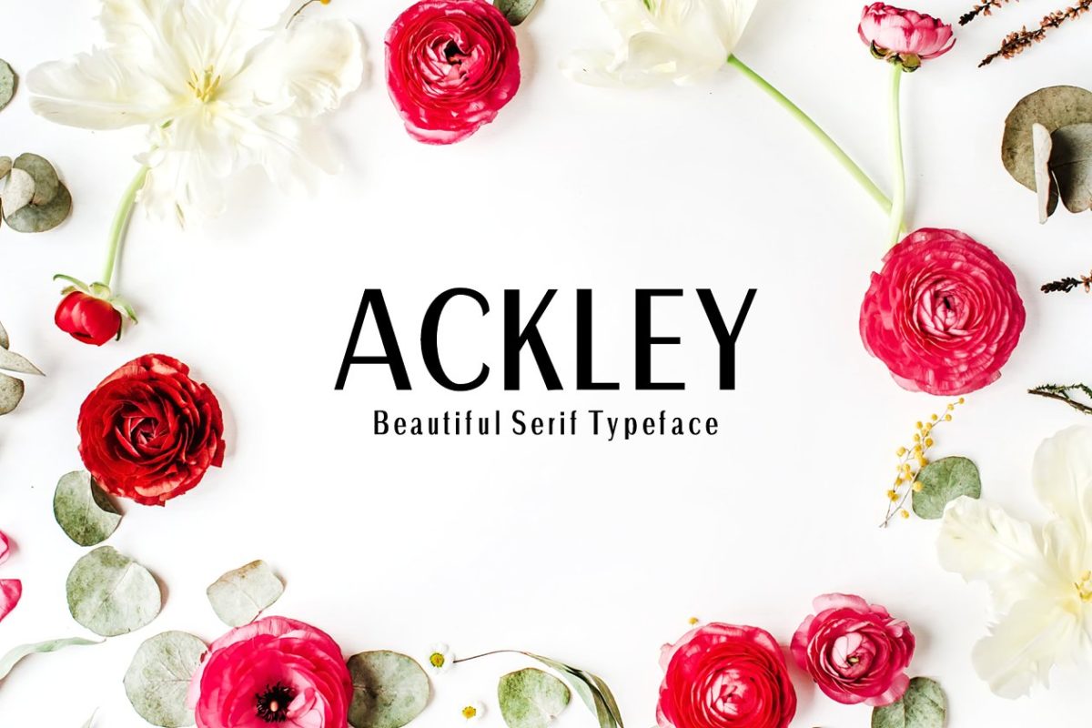 优雅品牌设计字体 Ackley Sans Serif 7 Font Family