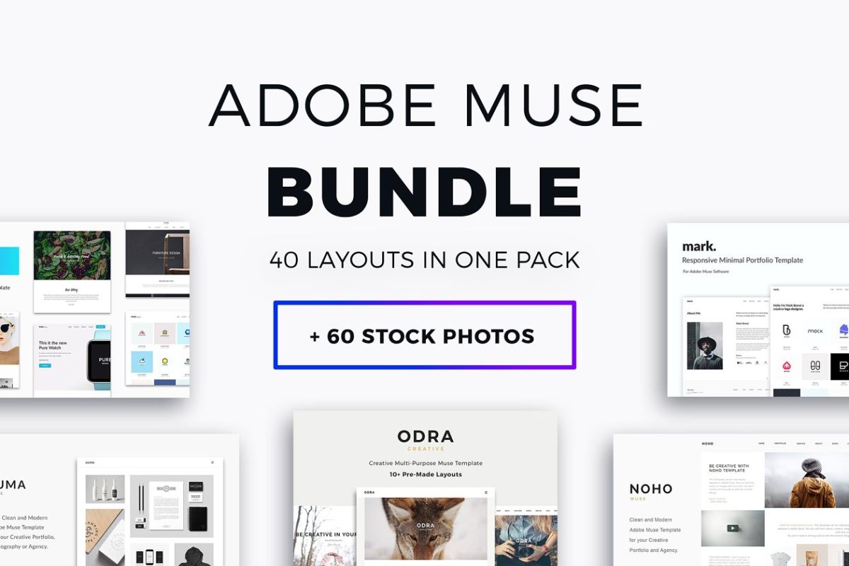 Adobe Muse网站模板包 Adobe Muse Bundle – 40+ Templates