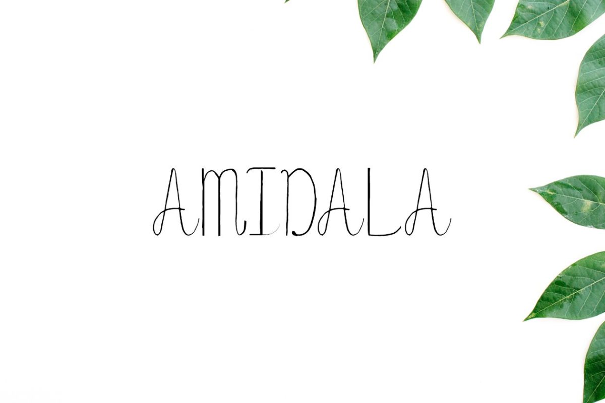 秀气的字体 Amidala Script Font